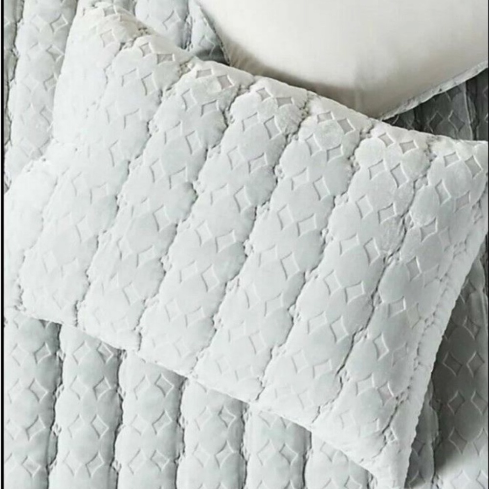 Anthropologie Ellery Pillow Sham Velvet Pillowcase